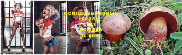 mix Киренск