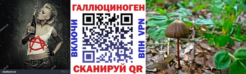 Псилоцибиновые грибы Cubensis  магазин продажи   Болхов 