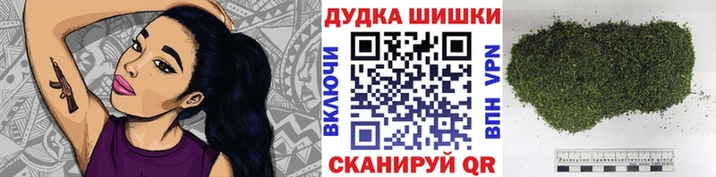 Конопля сатива  Болхов 